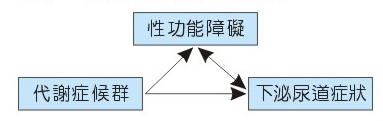 性功能、代謝症候群與下泌尿道症狀三角關係