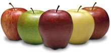 營養師對於蘋果有哪些看法呢？