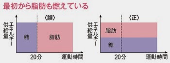 圖片來源：日經ヘルス