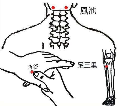 呼吸道感染之預防--中醫觀點