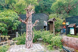 ▲茂林生態公園是民眾最輕鬆、容易接近紫斑蝶的園區。攝影  方濬哲