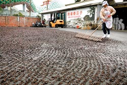 ▲台南麻豆寶達香瓜子已經三代經營,目前仍堅持以日曬方式製作瓜子。攝影 陳志東 ▲台南麻豆寶達香瓜子已經三代經營,目前仍堅持以日曬方式製作瓜子。攝影 陳志東