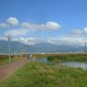 車道景